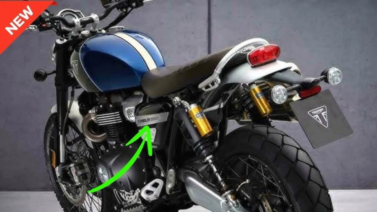 Bajaj Avenger 400 Cruise bike में मिलेगा 50 kmpl का माइलेज और कई आधुनिक फीचर्स जाने कीमत
